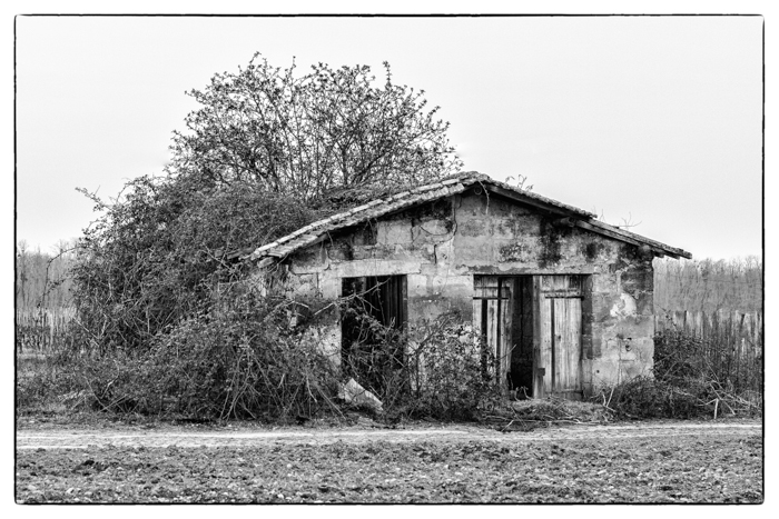 Cabane de vigneron